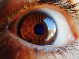 5 områder hvor kunstig intelligens sniger sig ubemærket ind i dit liv