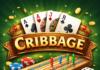 Cribbage — regler, point og cribbage-brættet forklaret Cribbage — regler, point og cribbage-brættet forklaret